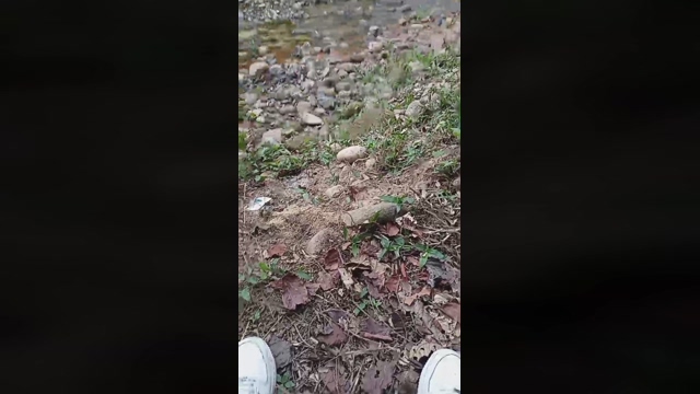 Master_piss  18-02-2022